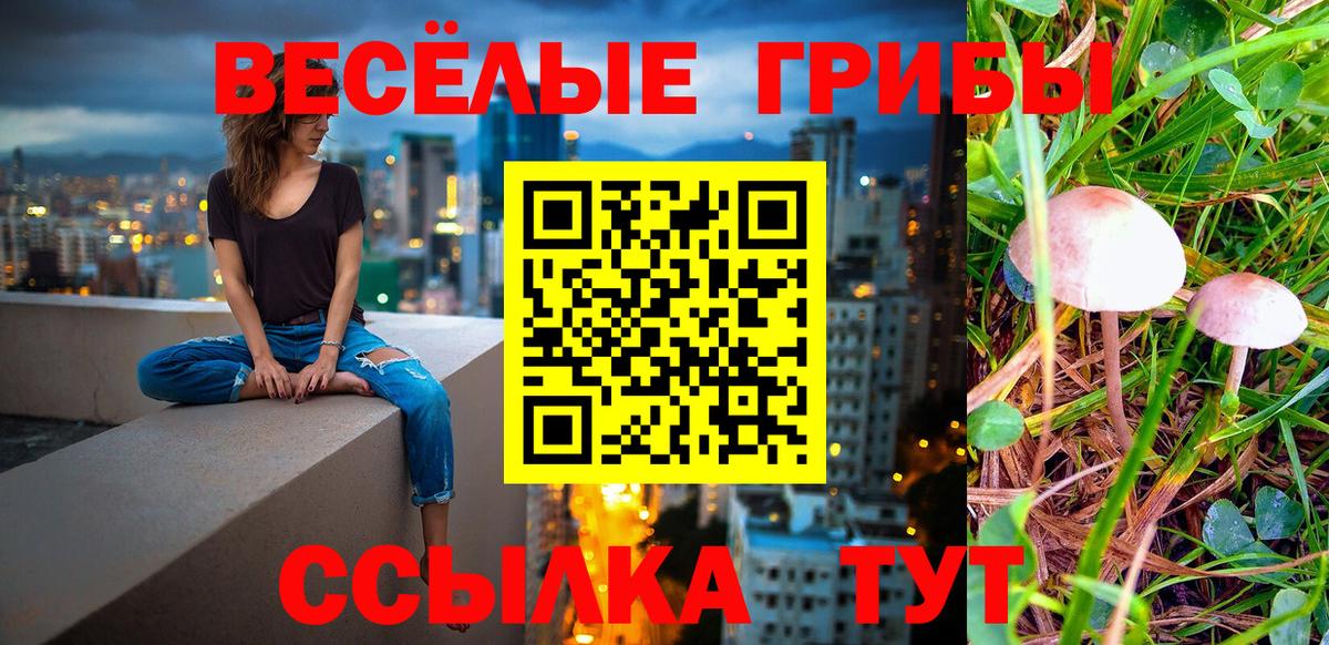 Псилоцибиновые грибы ЛСД  Галлюциногенные грибы Magic Shrooms  Унеча  Вход с VPN 