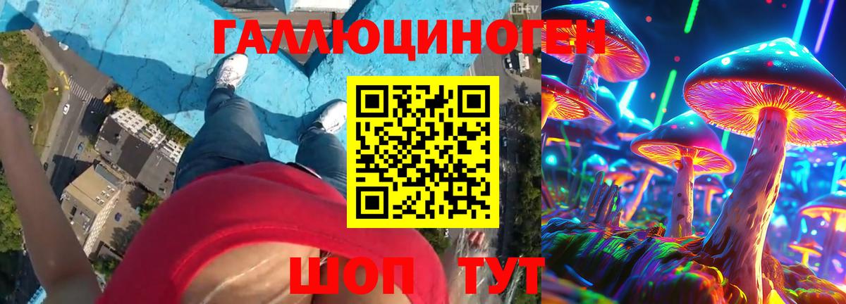 Галлюциногенные грибы Psilocybine cubensis Унеча